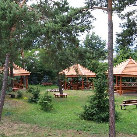 Hotel U Witaszka Czosnów Exteriör bild